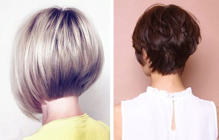 Bob Kare na perna traseira ver 185 fotos