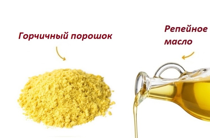 Máscaras de mostarda para queda de cabelo