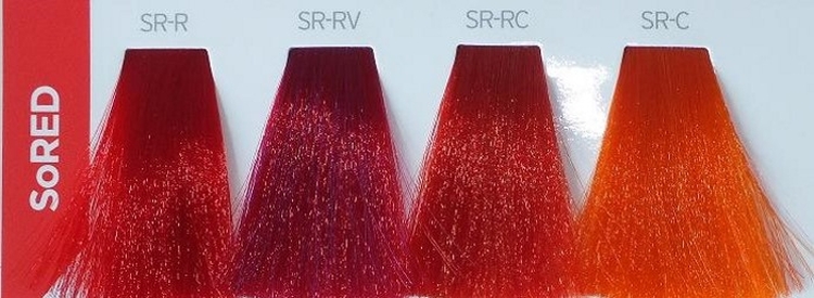 Paleta de pintura de matriz