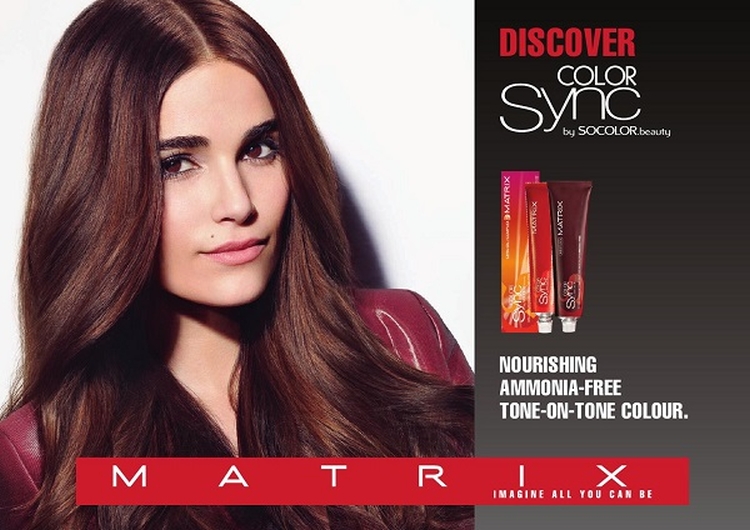 Paleta de pintura de matriz