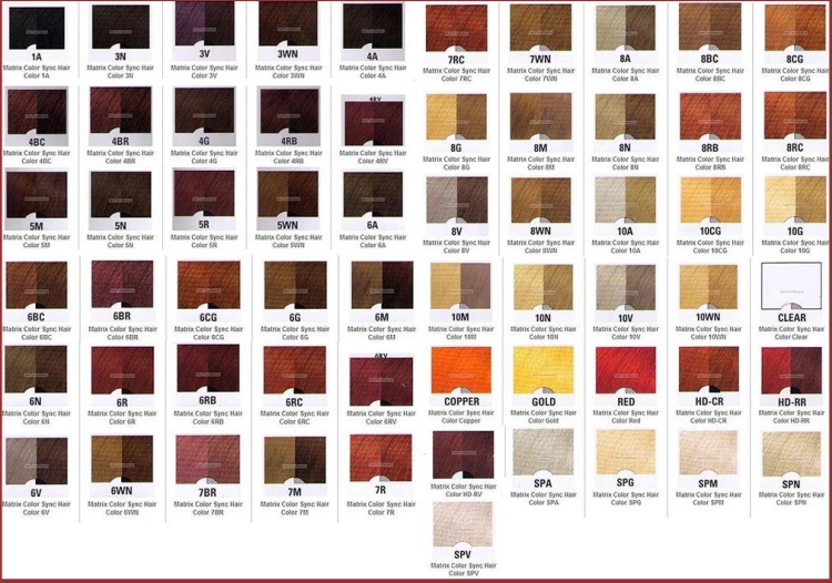 Paleta de pintura de matriz