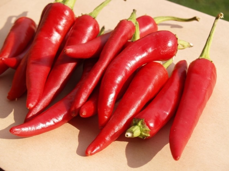 Народни средства за косопад при жени у дома