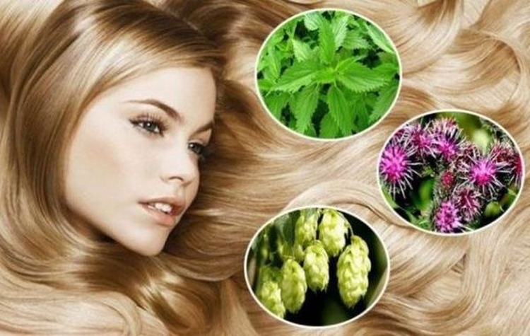 Máscaras caseiras de caspa para cabelo