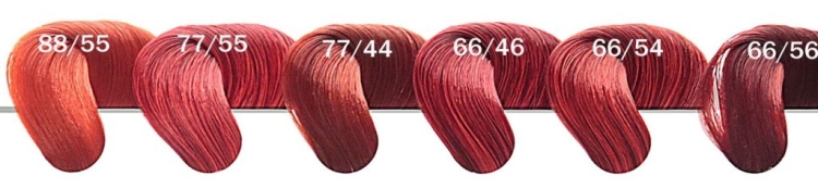 Paleta Estelle Deluxe