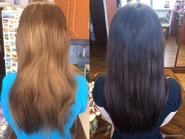 Paleta de cores Paleta