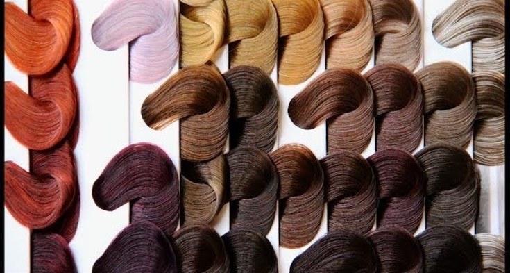 Paleta de cores Paleta