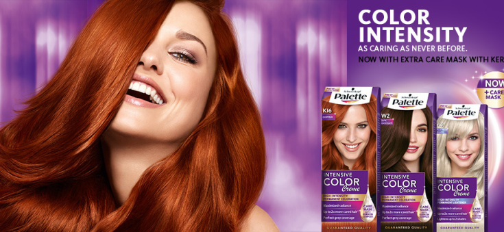 Paleta de cores Paleta