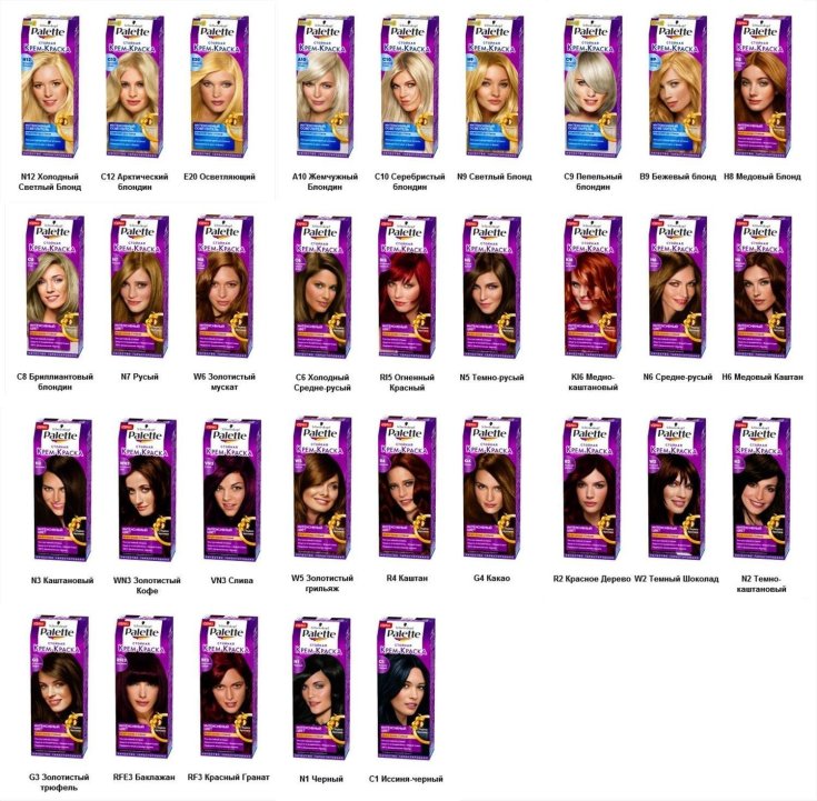 Paleta de cores Paleta