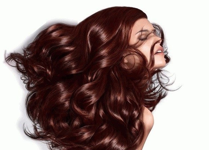 Paleta de cores Paleta