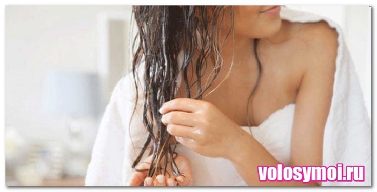 Decocções de ervas para queda de cabelo