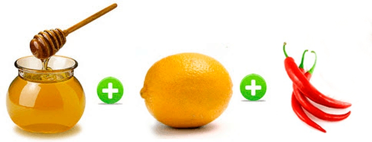 Decocções de ervas para queda de cabelo