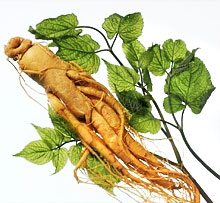 Decocções de ervas para queda de cabelo