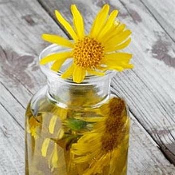 Decocções de ervas para queda de cabelo