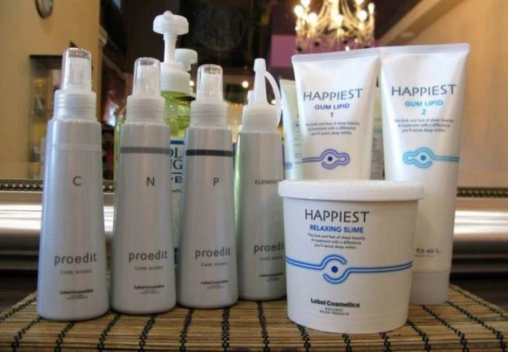 Felicidade absoluta para o cabelo Instruções passo a passo Lebel