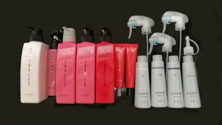 Felicidade absoluta para o cabelo Instruções passo a passo Lebel