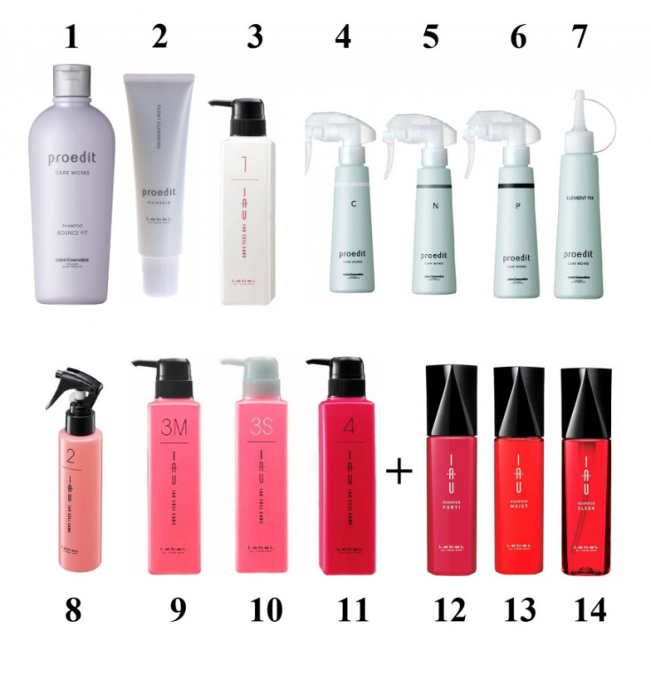 Felicidade absoluta para o cabelo Instruções passo a passo Lebel