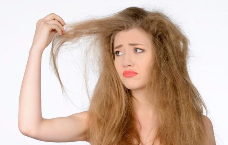 Felicidade absoluta para o cabelo Instruções passo a passo Lebel