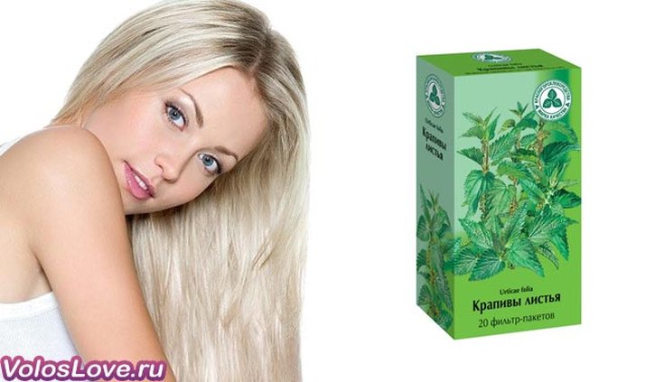 Óleo de urtiga para cabelo