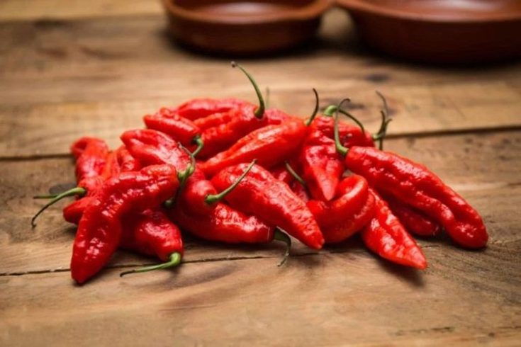 Óleo de bardana para cabelo