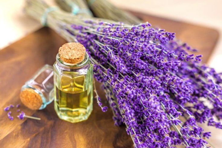 Óleo de lavanda para cabelo
