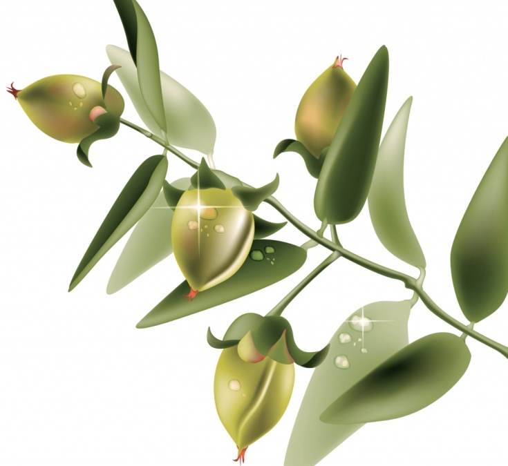 Óleo de jojoba para cabelo