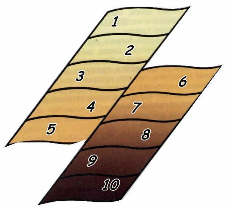 Fundo clareador de cabelo (cartela de cores)