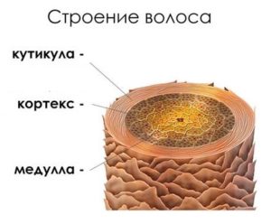Como remover os verdes do cabelo após a tintura